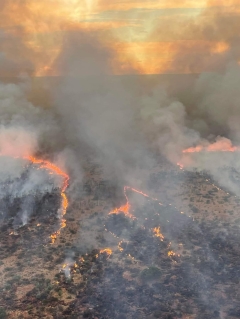 Pastoralists alerted of bad bushfire season for the 2nd year in a row