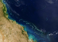 Researchers Say Sea-Level Changes Formed Australia’s Great Barrier Reef – Forbes