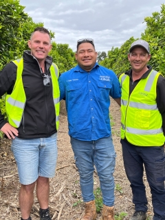 Samoan fruit pickers keep spirits high with tune while securing town from flood