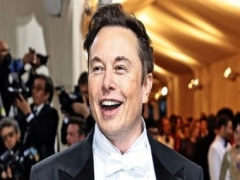 Is Elon Musk a ‘meme burglar’?