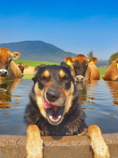 Today’s not the day to take a farmer for approved
