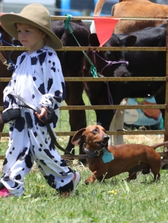 Move over Book Week, this school has an animal parade