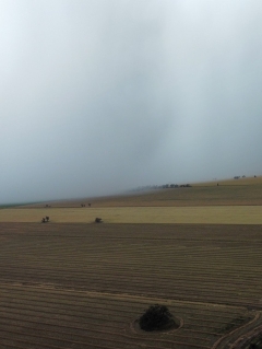 Hail with ‘rugged edges’ smash crops and houses throughout the Mallee