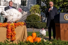 Biden Opens Holidays, Pardons Turkeys Chocolate and Chip