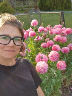 This Tassie farmer believed pink poppies would be excellent for wedding events. The drug job force revealed up