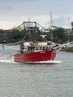 Neighborhood anger triggers brand-new digging up trial at unsafe port entryway