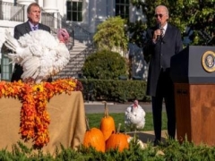 No Fowl Play: Why United States presidents pardon turkeys on Thanksgiving