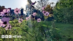 UK weather condition: Country sees a ‘2nd spring’ due to moderate November weather condition