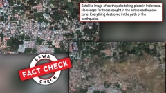 Truth Check: 2018 satellite view of disaster-hit Indonesia FALSELY shared as current