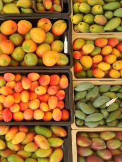 Have you saw a wave of brand-new mango ranges in your grocery store?