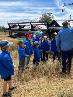 A small school in western NSW has actually made a little fortune from its very first wheat crop