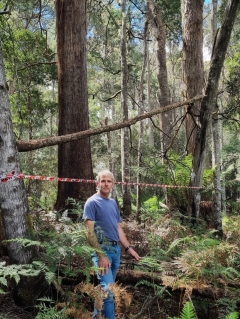 ‘Chainsaws currently running’: Tasmanian farmer fights abrupt logging of native forest