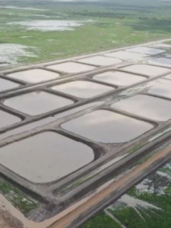 ‘No technical factor’ why world’s most significant prawn farm can’t be constructed at remote websites