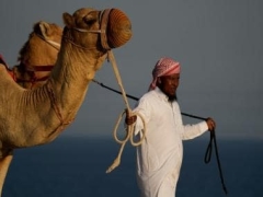 Camel Couture: Inside Qatar’s charm pageant held for the long-legged animals