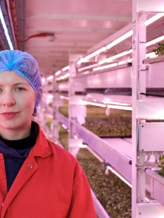 WWII air-raid shelter ends up being underground farm without any soil in sight