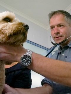 This veterinarian fears his center will be ‘overloaded’ under modifications to after-hours emergency situation animal care