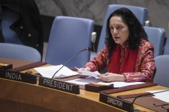 Ukraine, Russia need to go back to course of diplomacy, discussion: India at UNSC conference