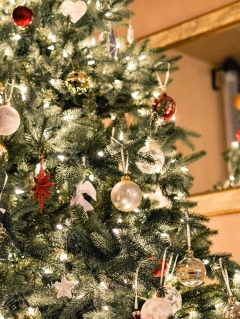 Plastic or pine? Customers advised to make environmentally friendly Christmas tree options