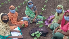 Utilizing Lessons from Covid, SEWA Responds to Climate Emergencies in India