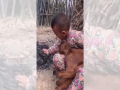 Kid heats up goat near fire in cooling weather condition, viral video wins hearts