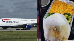 Female declares to discover tooth in British Airways meal. Airline company reacts