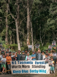 ‘Just the starting’: Blue Tier group to continue logging battle after legal obstacle