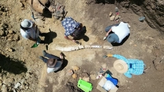 100-million-year-old Plesiosaur skeleton discovered in wilderness Australia – TVP World