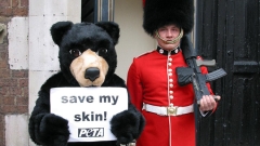Animal rights group to take legal action versus UK army. Here’s why