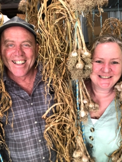 Braided Aussie garlic an unexpected, distinct Christmas present supporting Aussie farmers