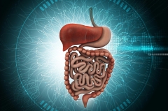 Astonishing New Hypothesis: Gravity May Cause Irritable Bowel Syndrome