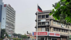 DMK high mast flag removed after activist raises alarm