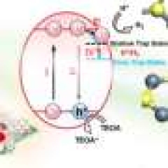 Chemists find essential driver protonation procedure to promote solar-driven water splitting