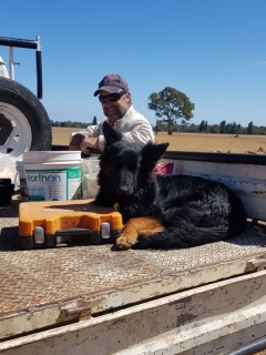 How presenting ‘multi-faceted’ dung beetles to his residential or commercial property has actually assisted this SA farmer in a range of methods