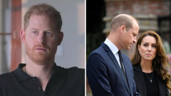 Prince Harry declares authorities were ‘delighted to lie to safeguard my sibling’ Prince William