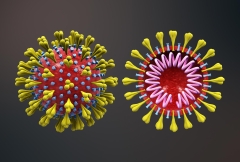 New Research Reveals That COVID Virus Alters RNA in Infected Cells