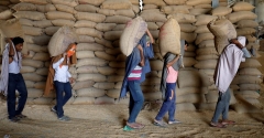 India’s December wheat stocks are up to 6-year low, raises rates