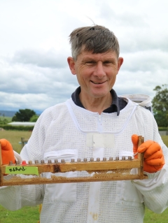 Tasmanian beekeepers develop craft in raising queens, as import restriction continues