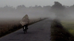 Fog envelopes towns, company locations in Andhra Pradesh