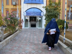 Timeline: Taliban crackdown on Afghan ladies’s education, rights