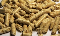 Australia turns down forest biomass in very first blow to wood pellet market – Mongabay.com