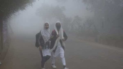 Cold wave, thick fog swallow up North India, temperature level to even more decrease|Mint – Mint