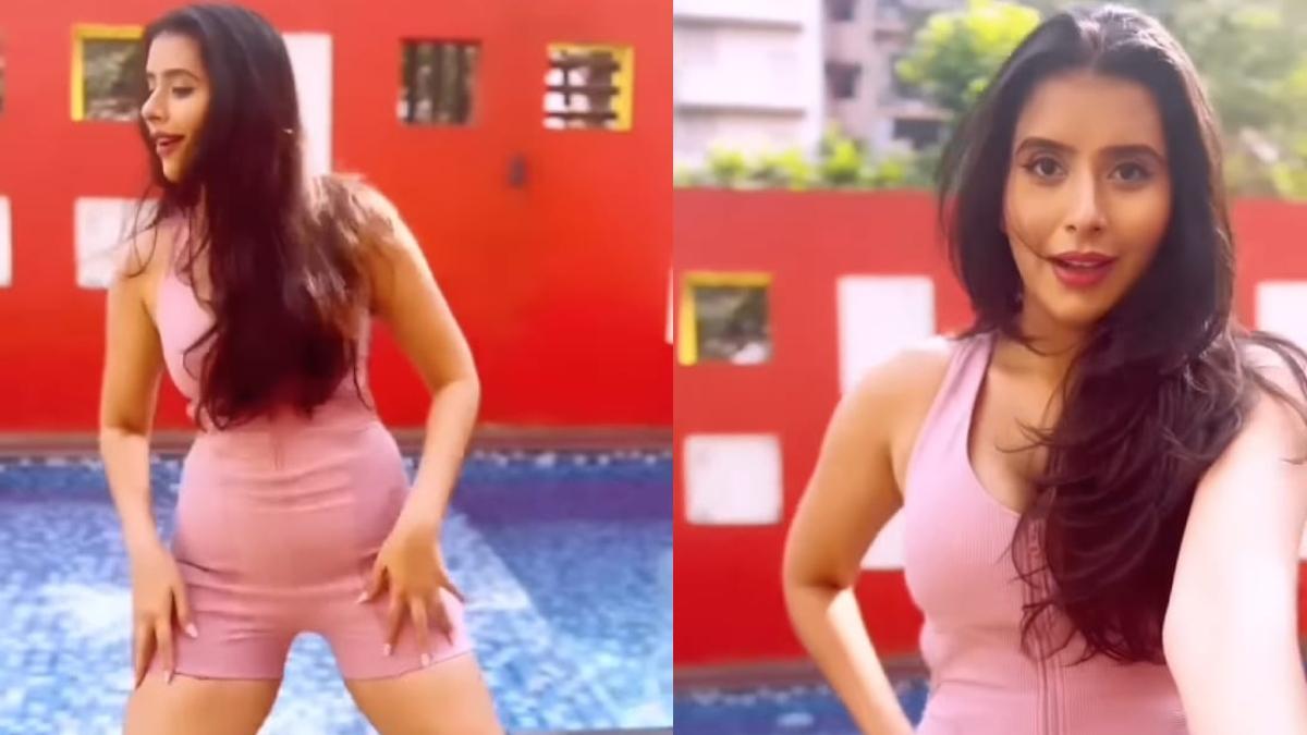 Charu trolled on dance on Besharam Rang song, users said