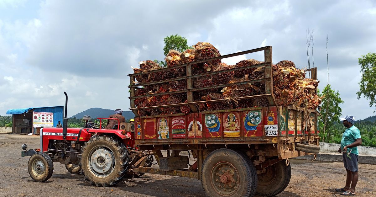 Leading palm oil purchaser India’s Dec imports leap 94% y/y on discount rates – dealerships – Reuters