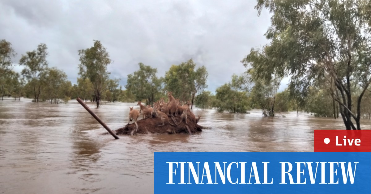 Albanese sees WA’s flood-drenched Kimberley area – The Australian Financial Review