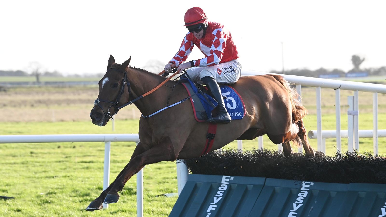 Kennedy in race versus time for Cheltenham with fractured leg