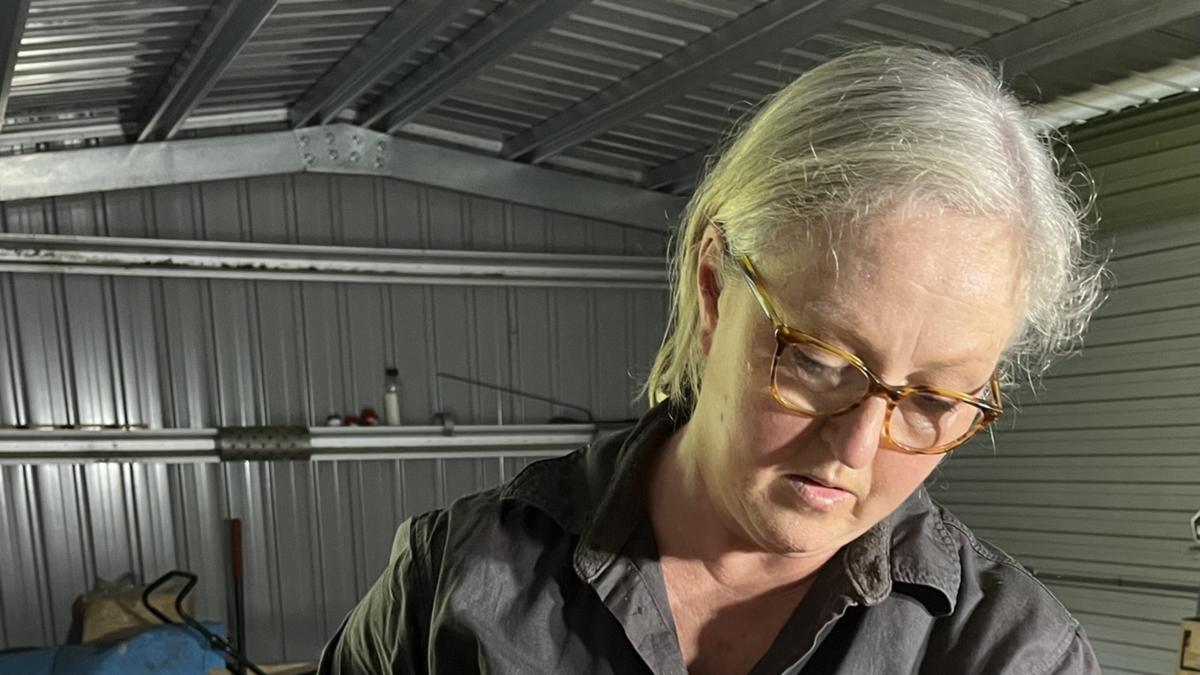 Satisfy the Aussie mum altering ladies’s cricket in her yard shed