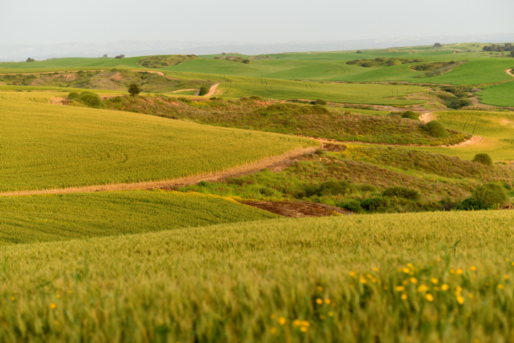 Invite to Hanun: Israel to develop brand-new neighborhood along Gaza border