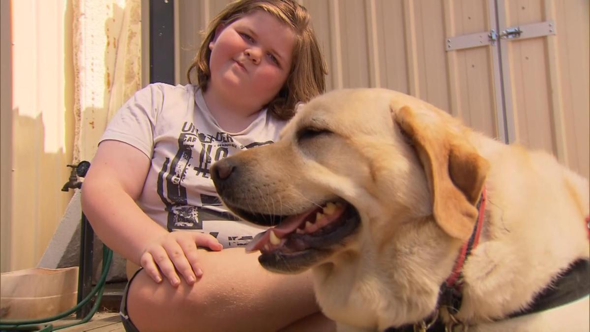 Impairment help pet permitted at Murray Bridge High School after mom’s problems