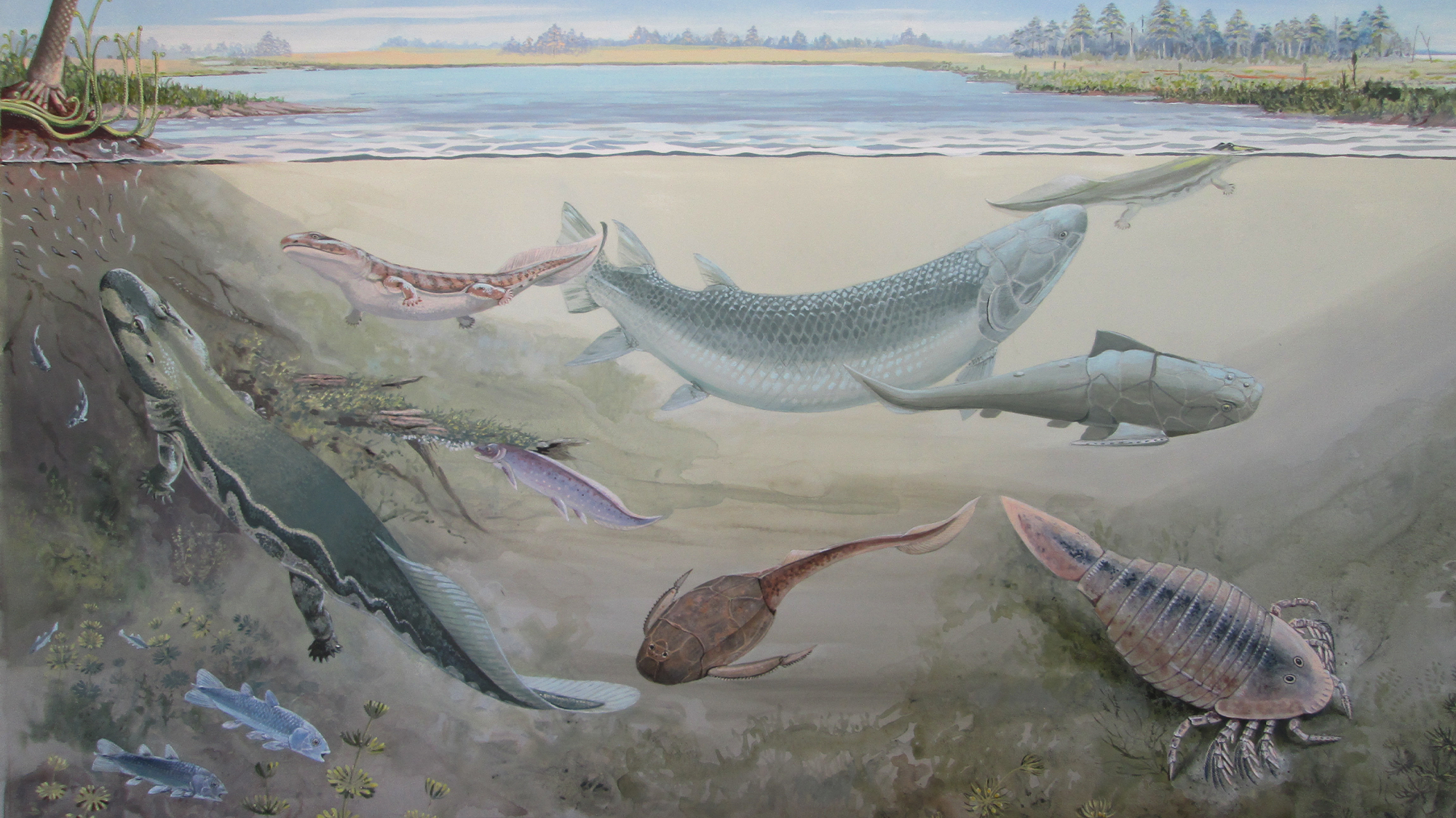 A gator-faced fish formed like a torpedo stalked rivers 360 million years earlier