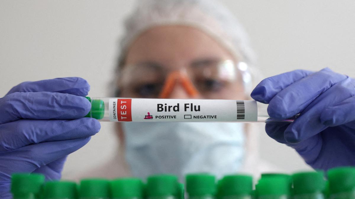 What is spillover? Bird influenza break out highlights requirement for early detection to avoid the next huge pandemic